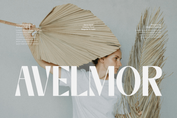 Avelmor: Timeless Elegance for Small Business Branding