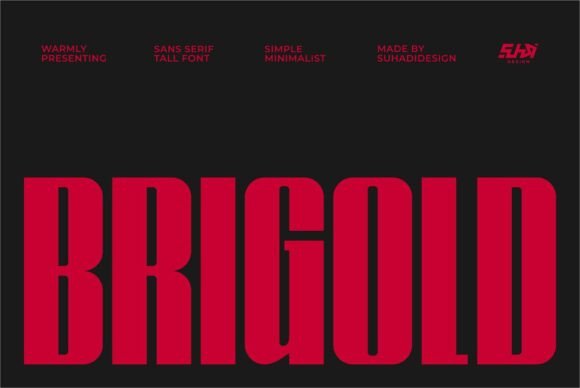 Brigold: A Stylish Sans Serif Font for Elegant Editorial Design
