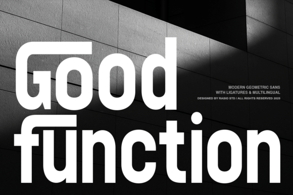 Good Function: A Bold Sans Serif Font for Crafters and Sellers