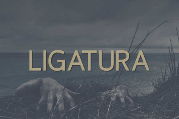 Ligatura: A Modern Sans Serif Font for Professional Branding